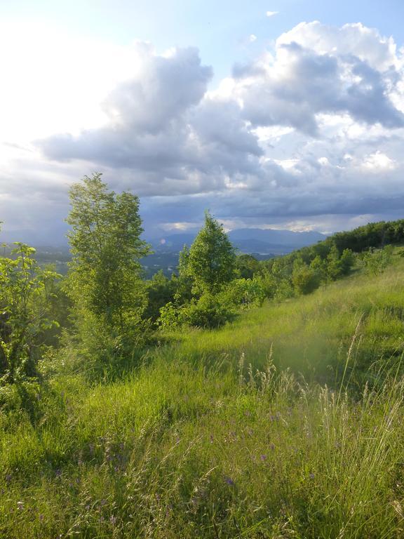 La Casetta Del Tiglio Bed & Breakfast Arcugnano Eksteriør bilde